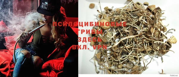 дмт Бронницы