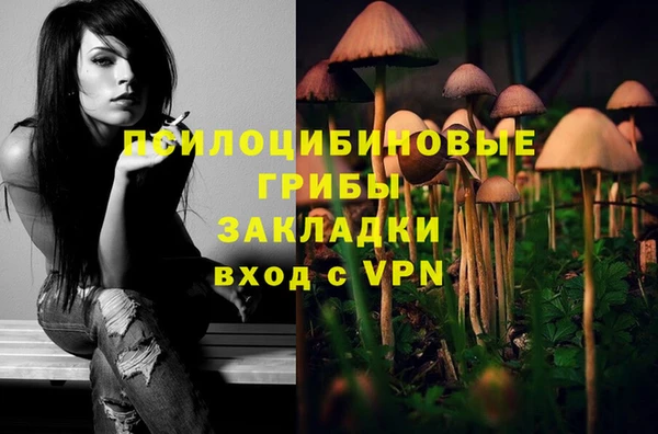 МДПВ Бугульма