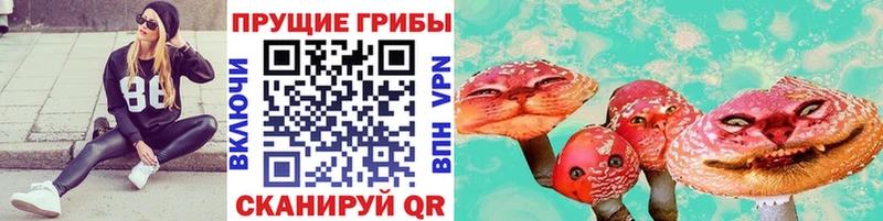 закладка сайты даркнета формула Псилоцибиновые грибы прущие грибы Новотроицк